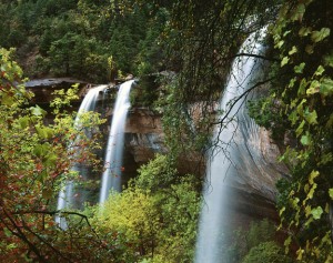 zion fall 2004 KB Canham 4x5/5x7 woodfield camera 135 mm Fuji Velvia 50 3min at f 32 PL warming filter