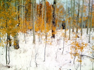 fall-dixce-forest-utah-08-web