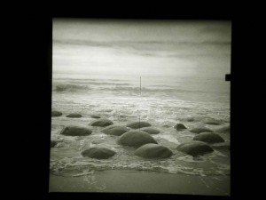 zion-fall-monteray-gallery-bowling-ball-beach-highway-1-08-307-1