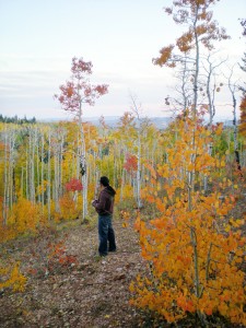 fall-color-sep-09-6