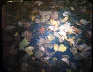 working-fall-09-2