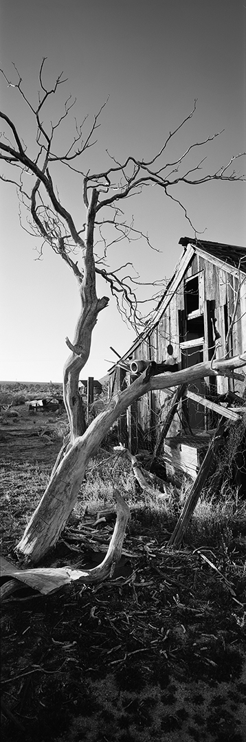 desert food chain pictures. Food Chain Of The Desert. Chihuahuan+desert+food+web; Chihuahuan+desert+food+web. machewcoy. Feb 4, 11:12 PM  oOo, who#39;s that? Link to original?? :D