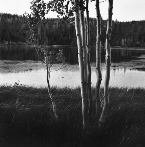 aspen-duck-creek-sep21-2010-web-play1