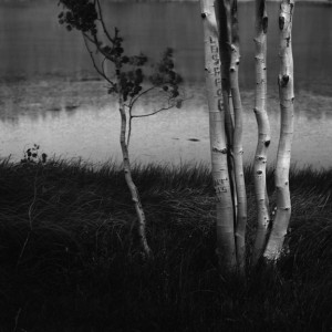 aspen-duck-creek-sep21-2010-web-play3