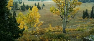 ut-fall-2010-9-21-178