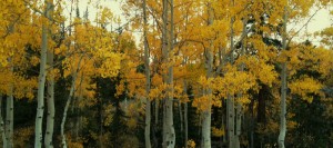 ut-fall-2010-9-21-265