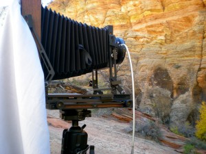 fall-zion-ut-11-3-2010-413