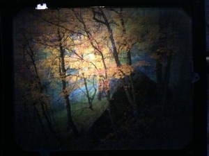 fall-zion-ut-11-17-2010-201